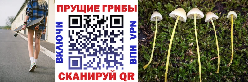 Псилоцибиновые грибы MAGIC MUSHROOMS  Чебаркуль 